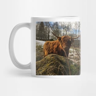 Scottish Highland Cattle Cow 2288 Mug